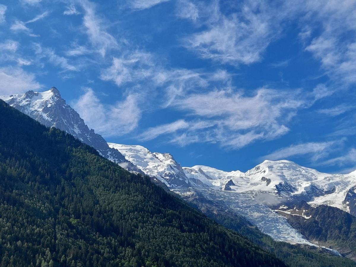 Appartement Le Petit Balcon avec vue sur le Mont-Blanc à Chamonix Extérieur photo